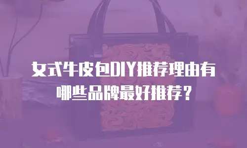 女式牛皮包DIY推荐理由有哪些品牌最好推荐？