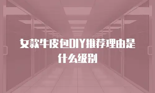 女款牛皮包DIY推荐理由是什么级别
