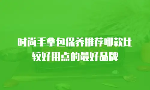 时尚手拿包保养推荐哪款比较好用点的最好品牌
