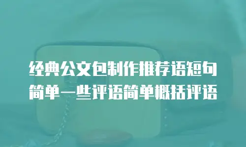 经典公文包制作推荐语短句简单一些评语简单概括评语