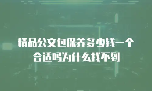 精品公文包保养多少钱一个合适吗为什么找不到
