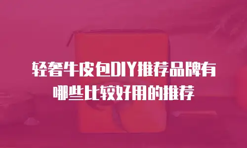 轻奢牛皮包DIY推荐品牌有哪些比较好用的推荐