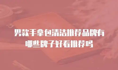 男款手拿包清洁推荐品牌有哪些牌子好看推荐吗
