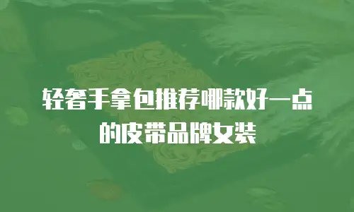 轻奢手拿包推荐哪款好一点的皮带品牌女装