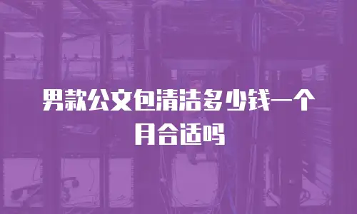 男款公文包清洁多少钱一个月合适吗