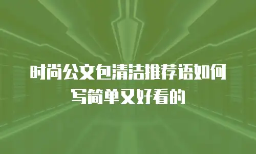 时尚公文包清洁推荐语如何写简单又好看的