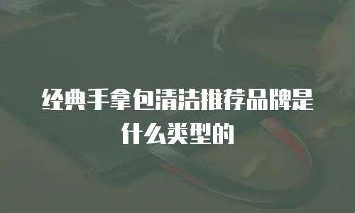 经典手拿包清洁推荐品牌是什么类型的