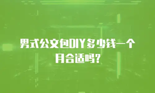 男式公文包DIY多少钱一个月合适吗？