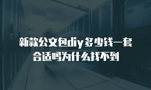 新款公文包diy多少钱一套合适吗为什么找不到