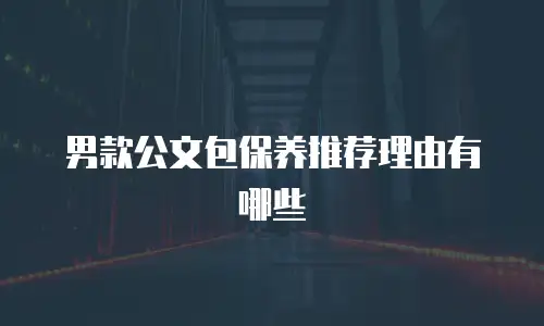 男款公文包保养推荐理由有哪些