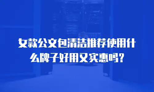 女款公文包清洁推荐使用什么牌子好用又实惠吗？