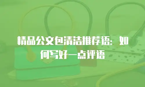 精品公文包清洁推荐语：如何写好一点评语