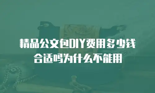 精品公文包DIY费用多少钱合适吗为什么不能用