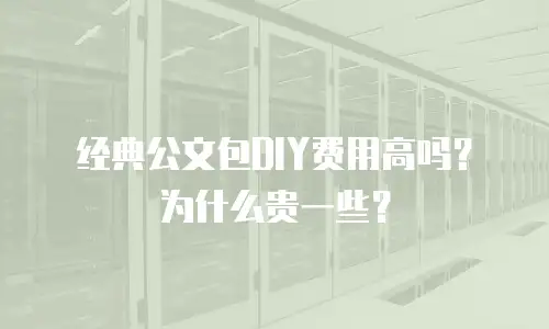 经典公文包DIY费用高吗？为什么贵一些？