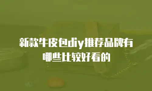 新款牛皮包diy推荐品牌有哪些比较好看的