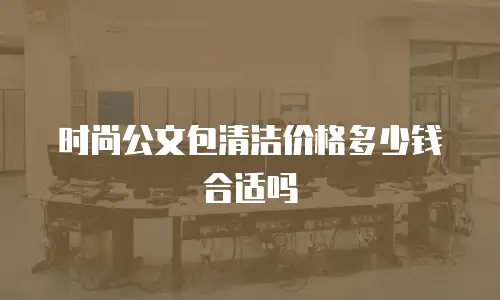 时尚公文包清洁价格多少钱合适吗