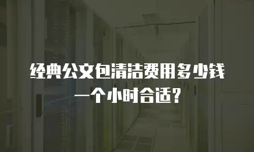 经典公文包清洁费用多少钱一个小时合适？