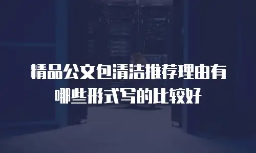 精品公文包清洁推荐理由有哪些形式写的比较好