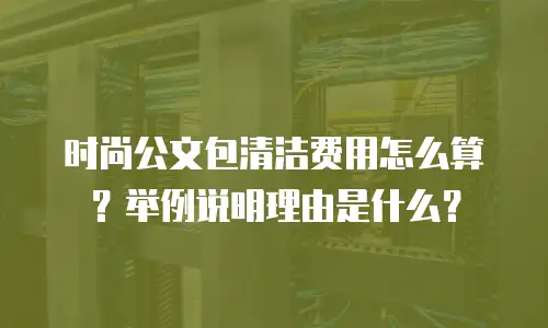 时尚公文包清洁费用怎么算？举例说明理由是什么？