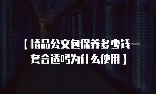 【精品公文包保养多少钱一套合适吗为什么使用】