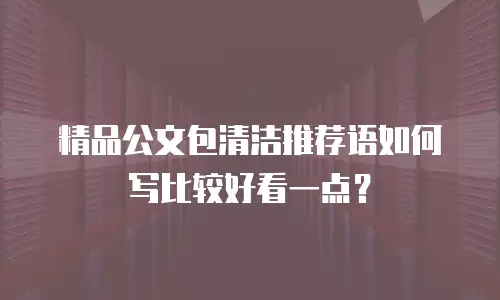 精品公文包清洁推荐语如何写比较好看一点？