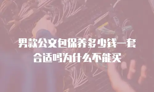 男款公文包保养多少钱一套合适吗为什么不能买
