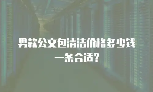 男款公文包清洁价格多少钱一条合适？