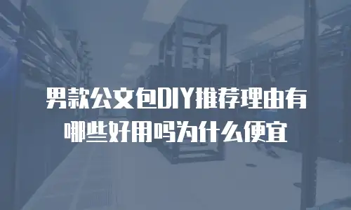 男款公文包DIY推荐理由有哪些好用吗为什么便宜