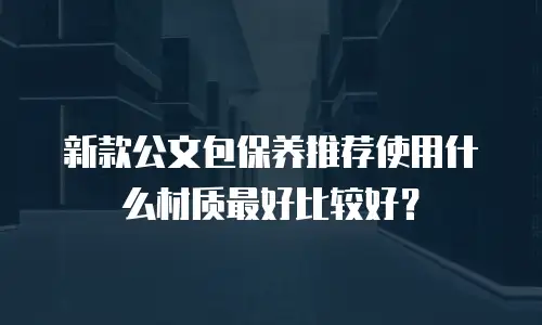 新款公文包保养推荐使用什么材质最好比较好？