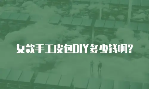 女款手工皮包DIY多少钱啊？