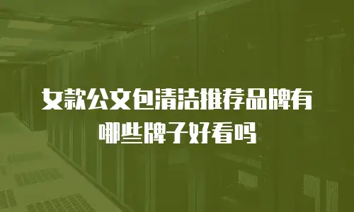 女款公文包清洁推荐品牌有哪些牌子好看吗
