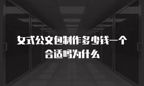 女式公文包制作多少钱一个合适吗为什么