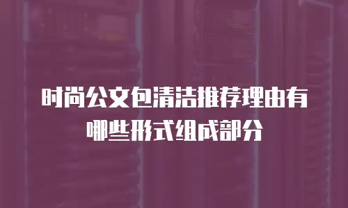 时尚公文包清洁推荐理由有哪些形式组成部分