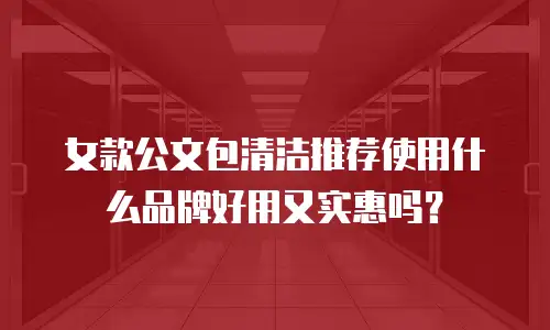 女款公文包清洁推荐使用什么品牌好用又实惠吗？