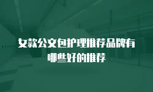 女款公文包护理推荐品牌有哪些好的推荐