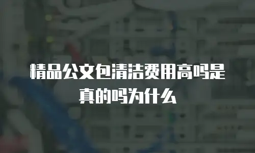 精品公文包清洁费用高吗是真的吗为什么