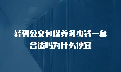 轻奢公文包保养多少钱一套合适吗为什么便宜