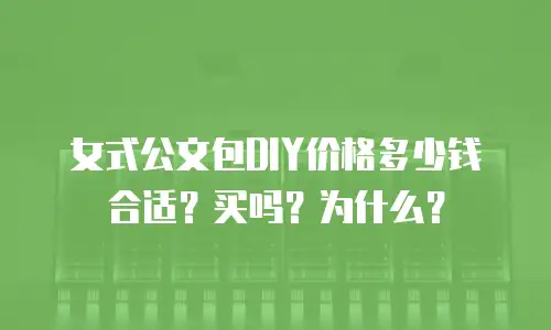 女式公文包DIY价格多少钱合适？买吗？为什么？