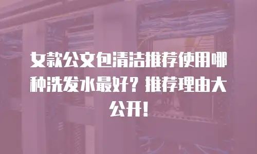 女款公文包清洁推荐使用哪种洗发水最好？推荐理由大公开！