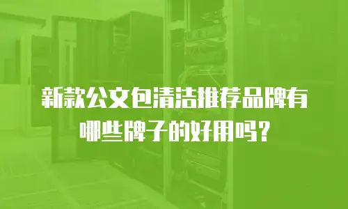 新款公文包清洁推荐品牌有哪些牌子的好用吗？