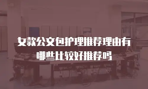 女款公文包护理推荐理由有哪些比较好推荐吗