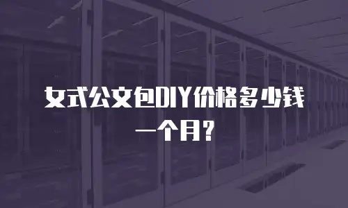 女式公文包DIY价格多少钱一个月？