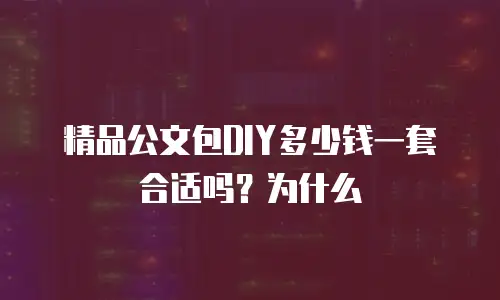 精品公文包DIY多少钱一套合适吗？为什么