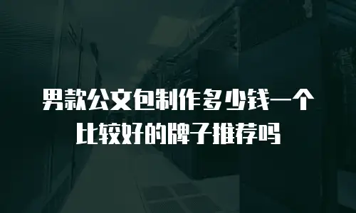 男款公文包制作多少钱一个比较好的牌子推荐吗