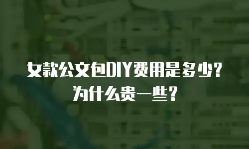 女款公文包DIY费用是多少？为什么贵一些？