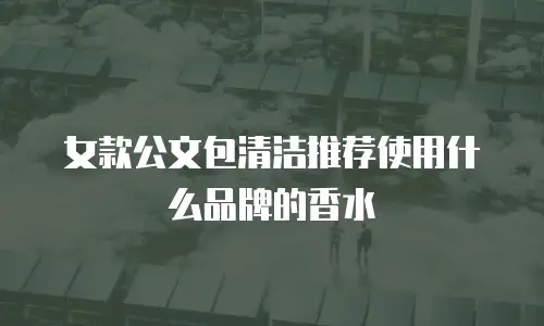 女款公文包清洁推荐使用什么品牌的香水