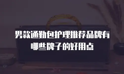 男款通勤包护理推荐品牌有哪些牌子的好用点