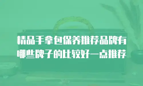 精品手拿包保养推荐品牌有哪些牌子的比较好一点推荐