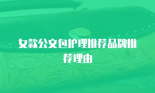 女款公文包护理推荐品牌推荐理由