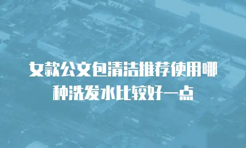 女款公文包清洁推荐使用哪种洗发水比较好一点